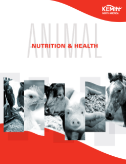 Animal Nutrition Health Solutions Kemin Industries USA